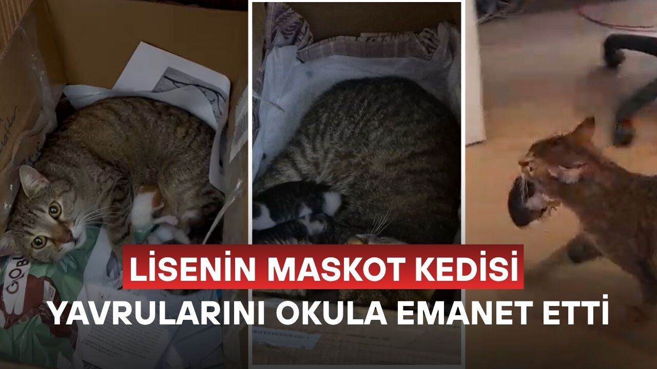 “YAŞADIĞIMIZ BU ZOR GÜNLERDE İÇİMİZE AZ DA OLSA BİR UMUT IŞIĞI SERPİLDİ”