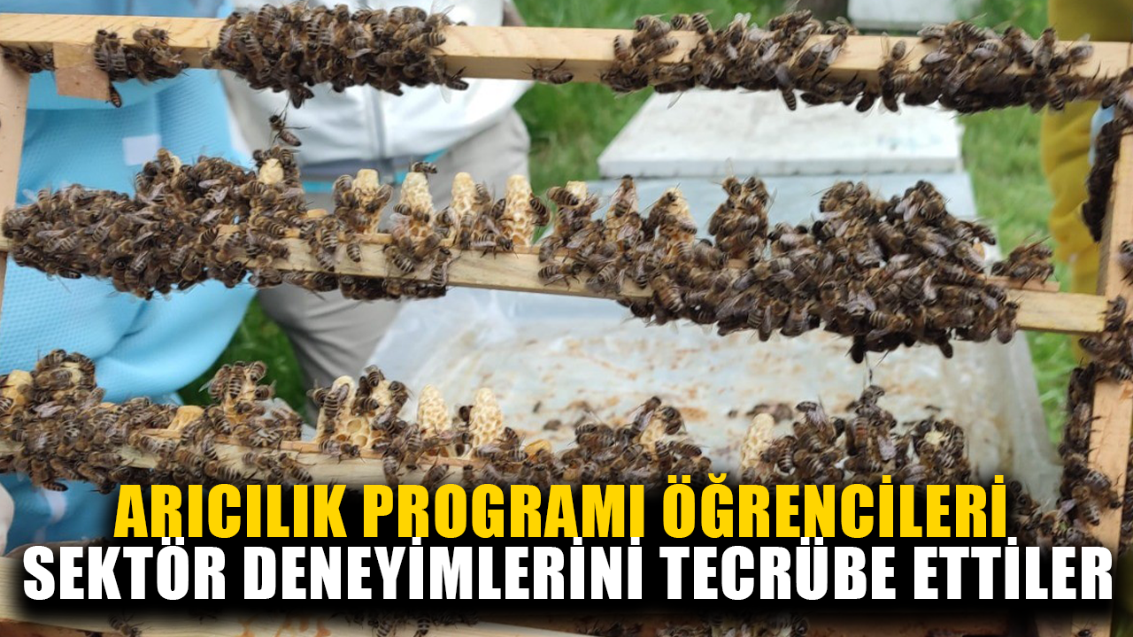 SEKTÖRDEKİ GÜNCEL UYGULAMALAR HAKKINDA BİLGİ EDİNDİLER