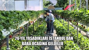 TOPRAKSIZ TARIMLA YETİŞTİRDİKLERİ ÇİLEKLER, YAŞAM ENERJİLERİ OLDU