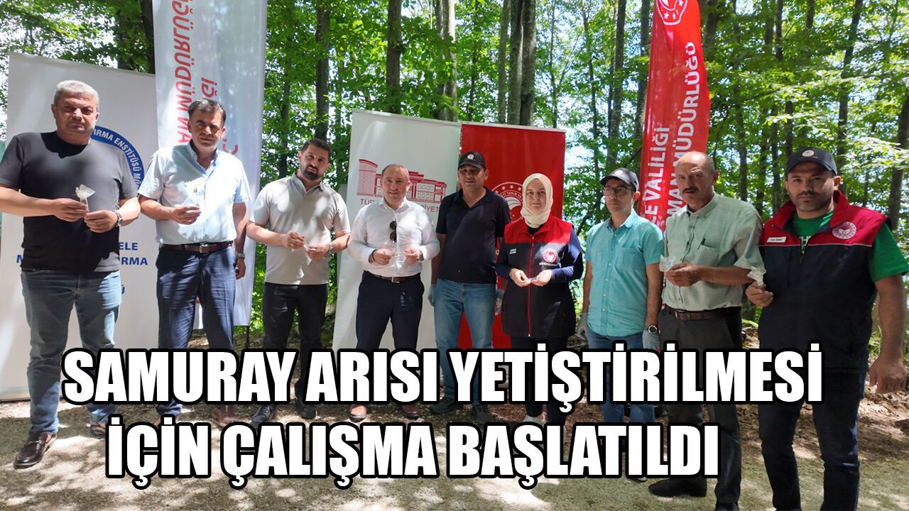 DÜZCE’DE ÇİFTÇİLERİN KABUSUNU SAMURAYLAR ÖNLEYECEK